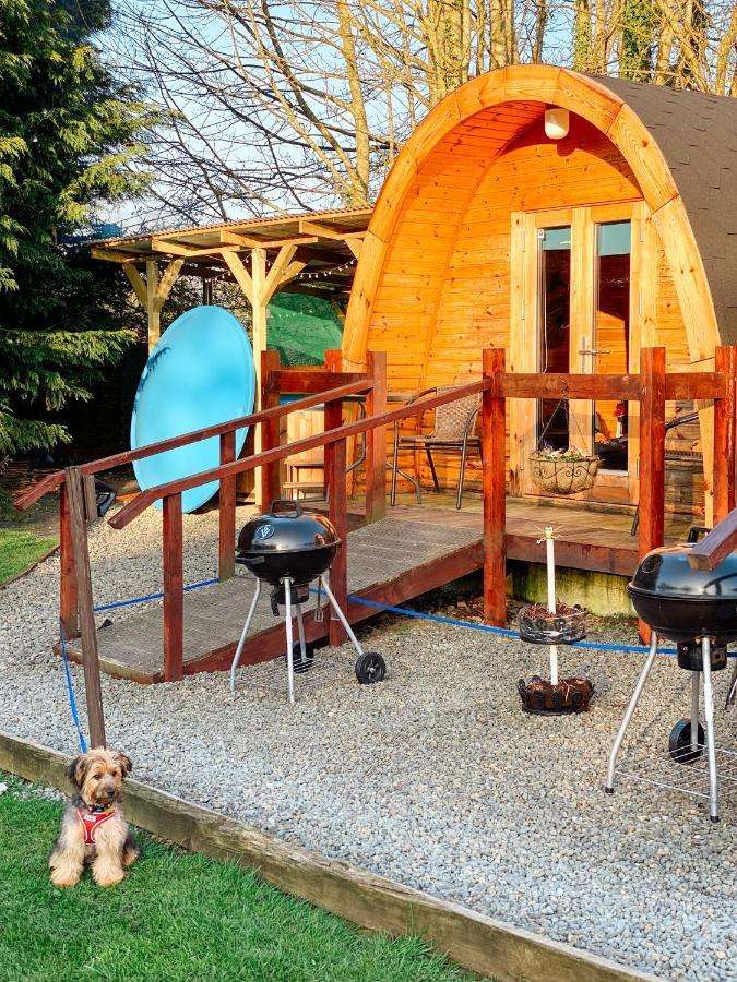 Log Cabin Kells  Eksteriør bilde