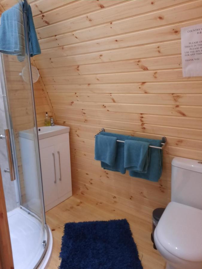 Log Cabin Kells  Eksteriør bilde